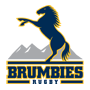 logo Brumbies
