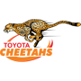 logo Central Cheetahs