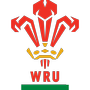 logo Pays-de-Galles U20